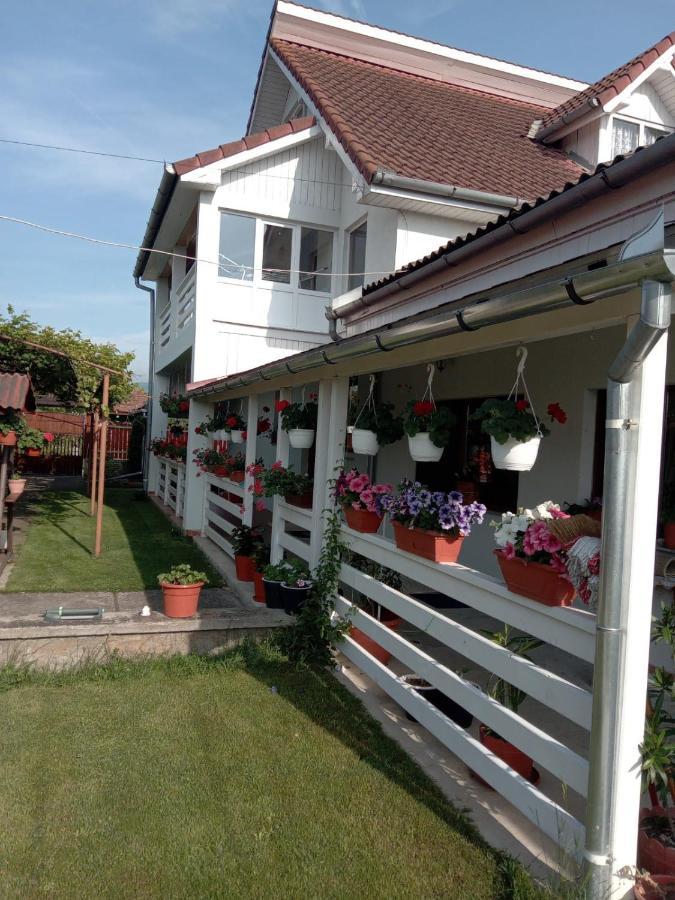 Cazare Turism Prislop Hotel Haţeg Eksteriør billede